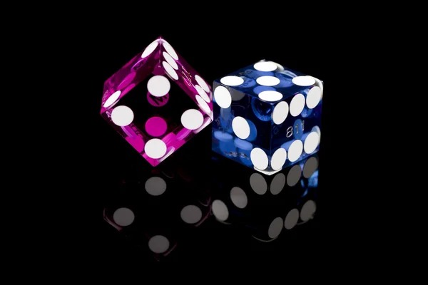 bonus hometogel support interface showing dispute filing and Result Archive reference tools